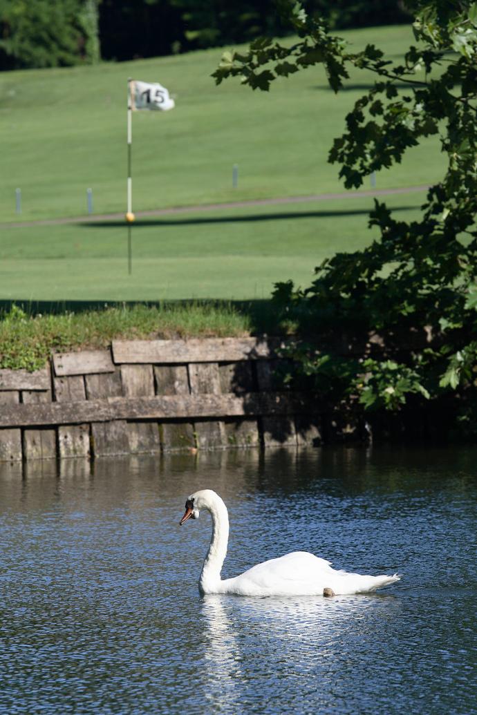 Golf dei Laghi